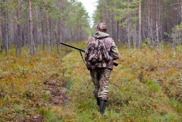 Hunter walking a forest track with a shotgun over one shoulder