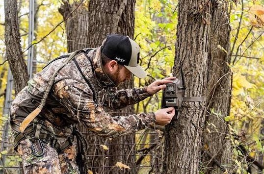 Hunter strapping a trail camera to an oak trunk in early autumn